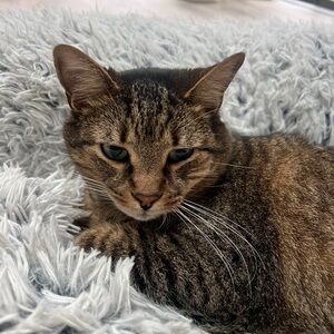 Meet your Posher, Emelia